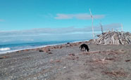 Amberley Beach on a clear winter day (July 2017)<br />Photo: Nicky Drake