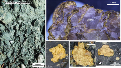 Blue Spur Conglomerate and some examples of alluvial gold from the conglomerate.