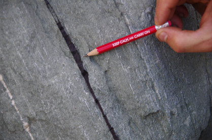 Fresh, foliation-parallel pseudotachylyte vein in the hanging-wall of the Moonlight Fault Zone, Matukituki Valley. Alder et al. (2016)