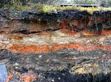Baked Clay: Evidence of coal fires in Wangaloa overburden-orange material is from natural coal fires, stripped from above the coal during mining.