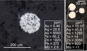 Microscopic view of clusters of minute pyrite grains (white, framboids) in argillite at Fiddlers Flat. Laser ablation ICP-MS analyses of the framboidal clusters show that they contain from 0.5 to 10 parts per million gold and more than 1000 ppm arsenic.