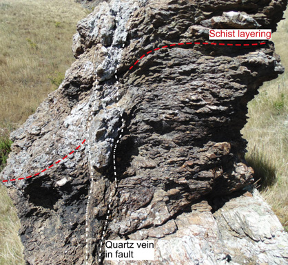 Quartz-rich fault zone with minor gold enrichment (between white dashed lines) in an outcrop of schist at Lower Manorburn Dam, near Galloway. The layering in the schist has been bent adjacent to the fault zone during fault movement 100 million years ago.The left (western) side moved downwards at that time.