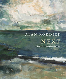 Next by Alan Roddick book cover of painted beach-cover image