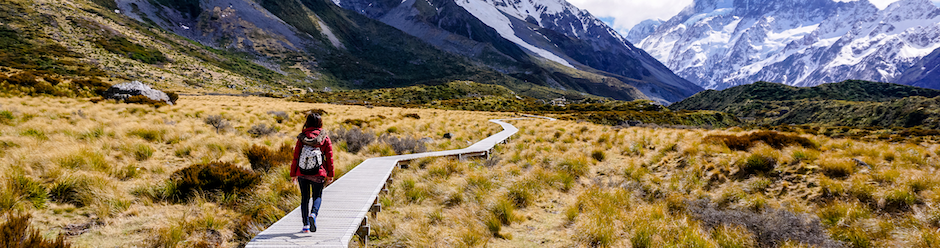 Person walking on a boardwalk in a tussock valley with snow covered mountains