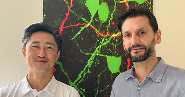 Faculty of Biomedical Sciences researchers Dr Joon Kim and Associate Professor Karl Iremonger.