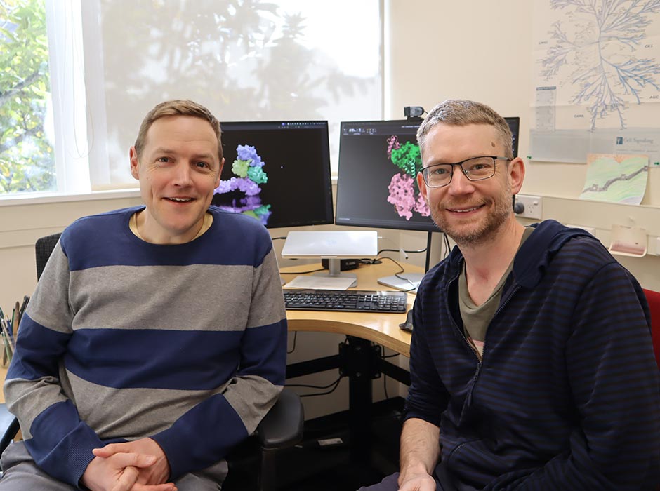 Otago biochemists Professor Peter Mace, left, and Dr Adam Middleton are using traditional techniques and AI to help decipher the building blocks of life. 