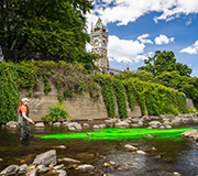 Man standing in the middle of the Water of Leith, turns water green to demonstrate water quality.