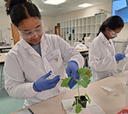 A female student experimenting with a plants DNA in a lab setting.