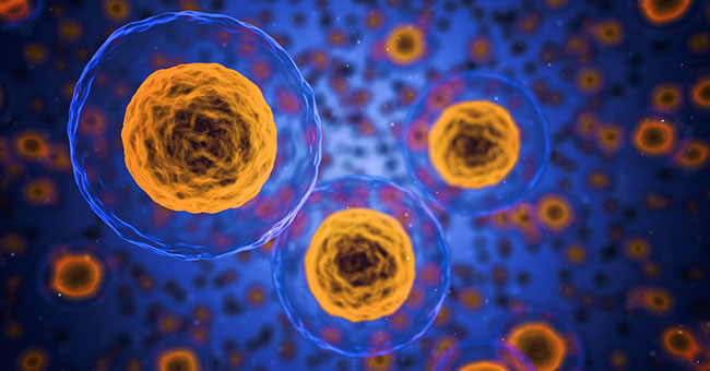 Cells-under-a-microscope