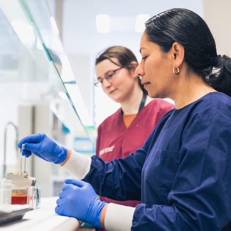 Two researchers working at a lab bench