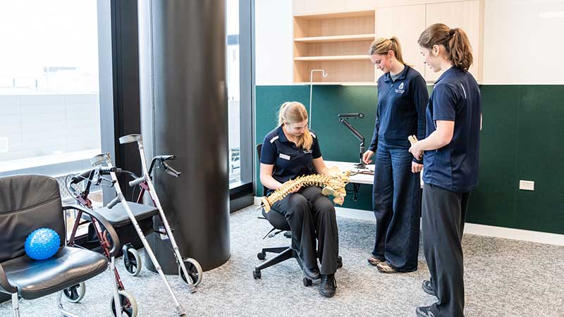 Three young women looking at a model of a spine