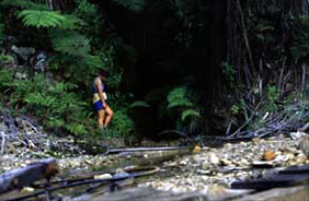 Tui Mine Entrance