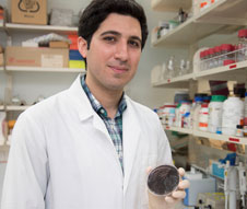 Ali Mohammadi