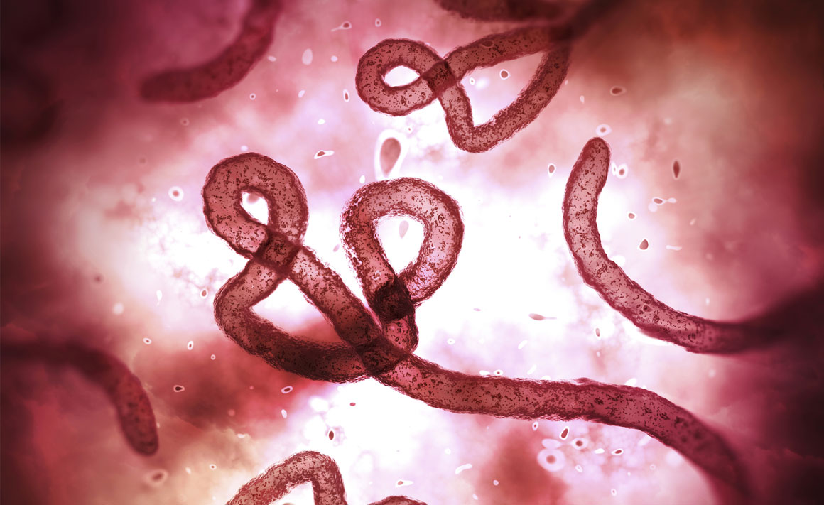 Ebola virus banner