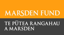 Marsden Fund logo