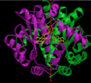 Green and purple coils 186