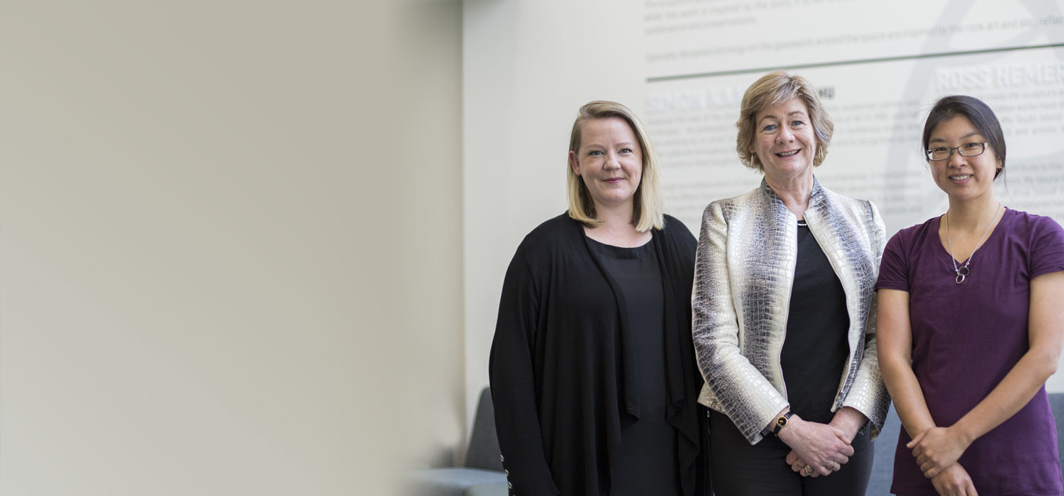 Janet Hoek banner