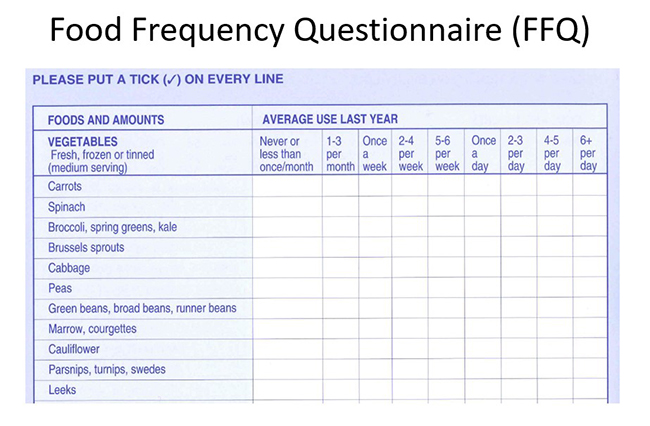 Food frequency questionnaire