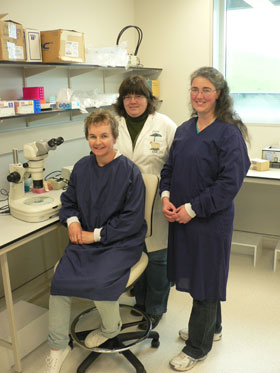 Karen Reader, Jenny Juengel, Jo Ann Stanton