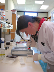 Sofie Van Huffel loads PCR to investigate gene co-regulation in breast cancer