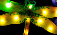 This beautiful dragonfly was one of the many lanterns hanging from the trees in Hagley Park for the 2016 Christchurch Lantern Festival<br />Photo: Anna Young