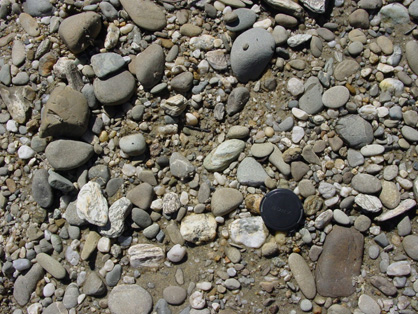 Gravel in the active bed of the Manuherikia River at Alexandra. Most of the cobbles are greywacke (round, grey and brown), with some quartz pebbles derived from breakdown of schist and/or 20 million year old quartz gravels.