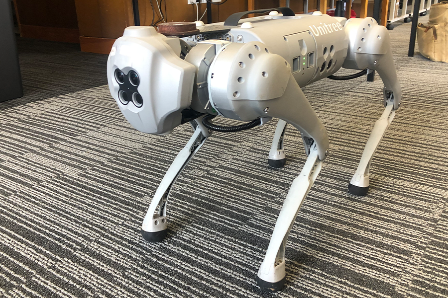 Scary Maclary robot dog image 