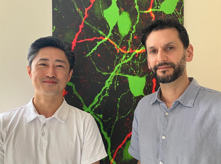 Faculty of Biomedical Sciences researchers Dr Joon Kim and Associate Professor Karl Iremonger.