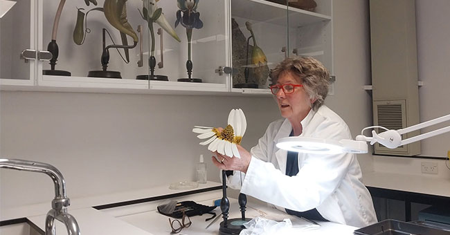 A scientist works with a model of a flower in her lab.