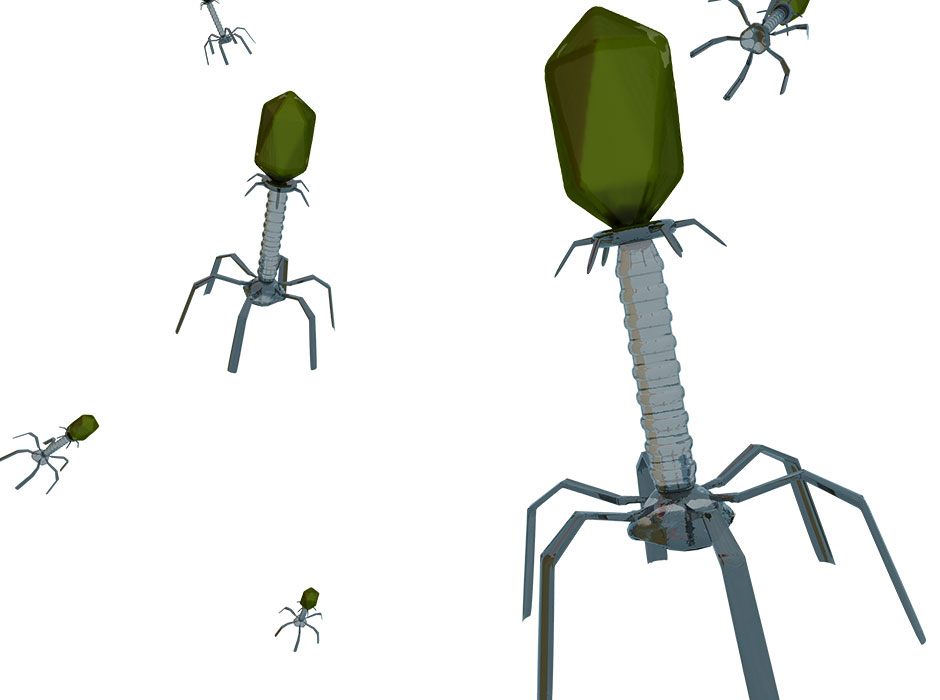 Image of computer generated bacteriophages
