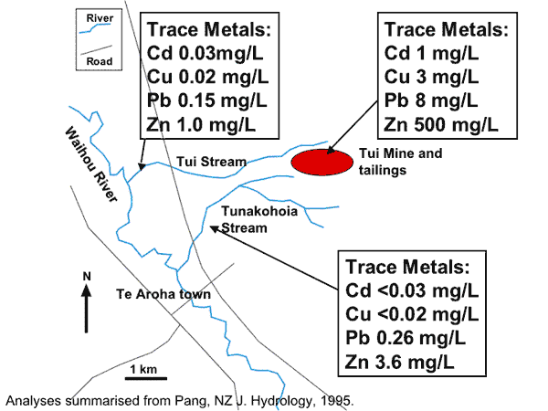 Sketch map showing the Tui Mine site and stream metal contents
