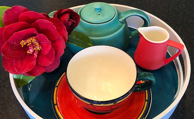 Vanda tea tray