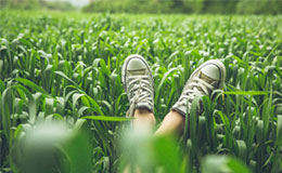 Person laying in field