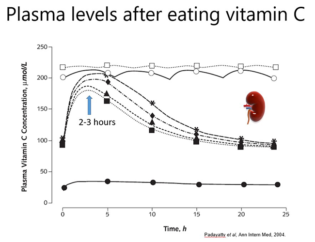 Plasma levels after eating vitamin C