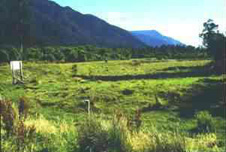Terrrace created by motion on the Alpine Fault at Haast