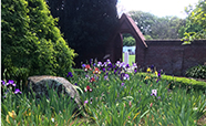 Flowers in the Christchurch Botanic Garden<br />Photo: Gabi Dachs