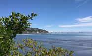 Looking across Sumner section of Pegasus Bay<br />Photo: Anna Young
