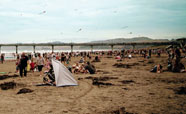 Kite festival at the New Brighton Pier (2017)<br />Photo: Simran Maggo