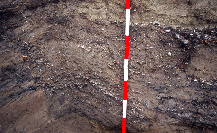 The kūmara pits with discarded bone, shellfish and charcoal image