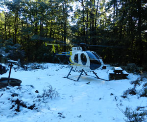 Entering the 302 field area via helicopter on a cold snowy morning near Reefton