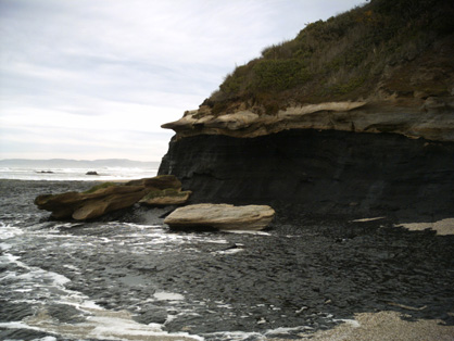 Coal and quartz pebble conglomerate, Taratu Formation (Cretaceous), at Coal Point, Kaitangata