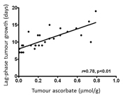 Increased levels of vitamin C (ascorbate) in tumours is associated with slower tumour growth