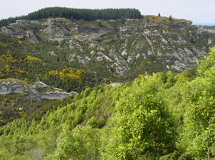 Outcrops of Horse Range Formation at Trotters Gorge. Sub-horizontal bedding can be seen amongst the scrabby gorse covered slopes. Unit is a pale flesh colour.