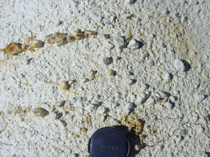 Clay-altered greywacke (white soft material) and remnants of metamorphic quartz veins (angular pebbles) in an outcrop below the Miocene unconformity at Blue Lake.