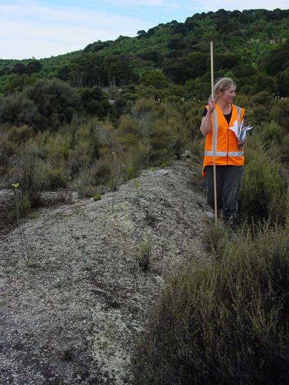 Coal-rich overburden has still resisted revegetation in 2011, but self-seeded manuka, from local relict islands (in background), is encroaching on remains of bare ground.