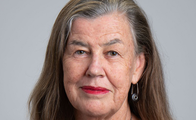 Professor Philippa Howden-Chapman image