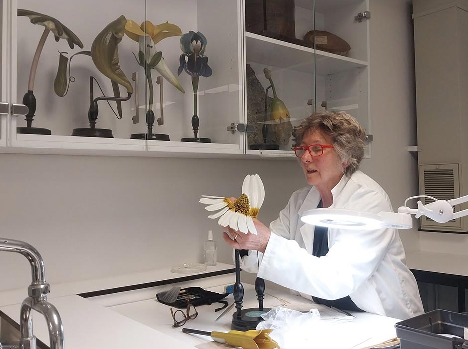 A scientist works with a model of a flower in her lab.