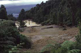 Tui Mine Tailings