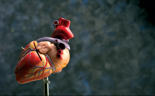 Heart-image