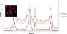 Chart measuring three variables image